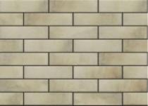 Клинкерная облицовочная плитка CERRAD Retro Brick salt 245*65*8 мм